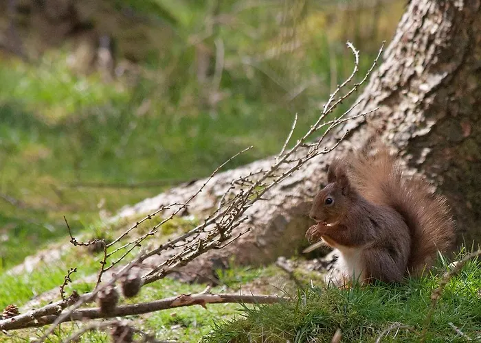 Bed and Breakfast Cornlee Aysgarth