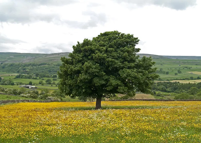 Bed & Breakfast Cornlee