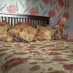 Cornlee 4* Aysgarth