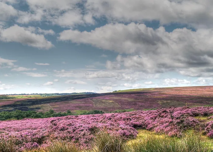 Cornlee ベッド・アンド・ブレックファスト 4*